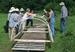 solardryer